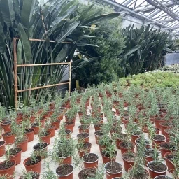 SOŠ Jablonecká Liberec